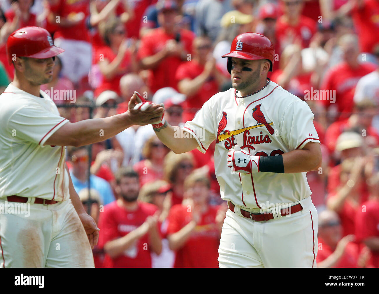 Matt adams a hi-res stock photography and images - Page 3 - Alamy