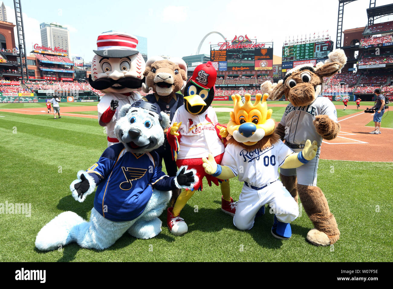 Mascots from several other teams join St. Louis Cardinals mascot Fredbird during his 35th birthday celebration before the Milwaukee Brewers-St. Louis Cardinals baseball game at Busch Stadium in St. Louis on August 3,  2014.UPI/Bill Greenblatt Stock Photo