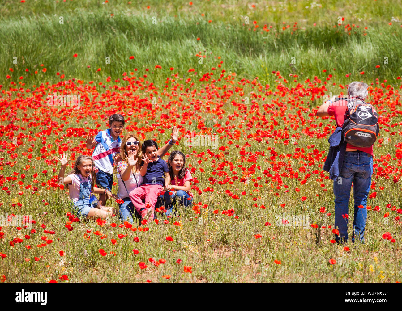 Man taking a photograph of his happy smiling family wife and children in a field of poppies poppy field Stock Photo