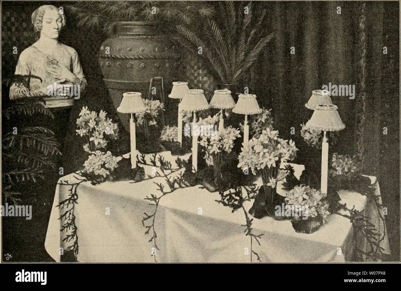 Archive image from page 620 of Die Gartenwelt (1897) Stock Photo