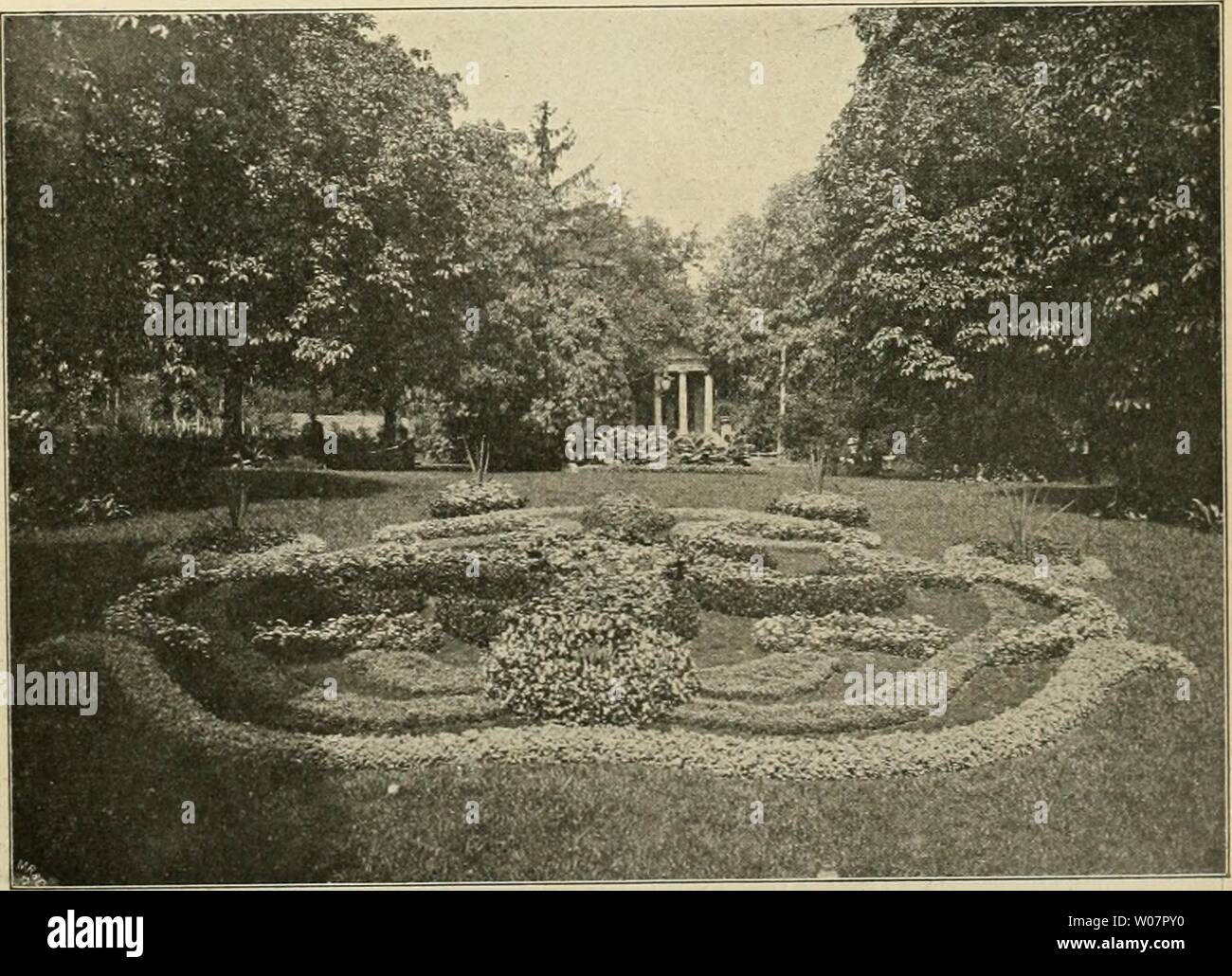 Archive image from page 620 of Die Gartenwelt (1897) Stock Photo