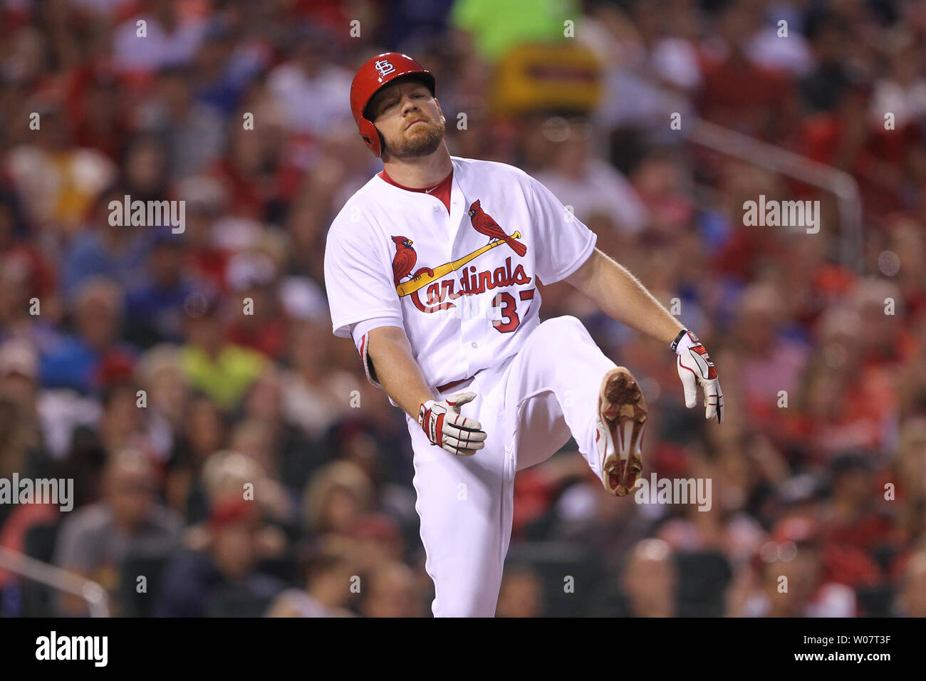 St. Louis Cardinals Brandon Moss kicks his leg up as he reacts to hitting into a double play in the fourth inning against the Chicago Cubs at Busch Stadium in St. Louis on May 23, 2016. Photo by Bill Greenblatt/UPI Stock Photo