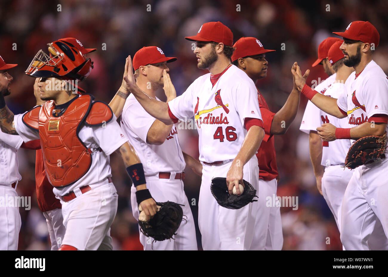 St louis cardinals team members hi-res stock photography and