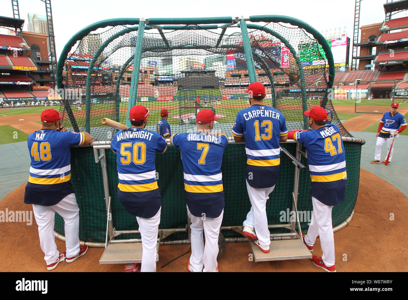 St. Louis Cardinals players and coaches watch batting practice wearing St.  Louis Blues sweaters before a game against the Cincinnati Reds at Busch  Stadium in St. Louis on September 28, 2016. The