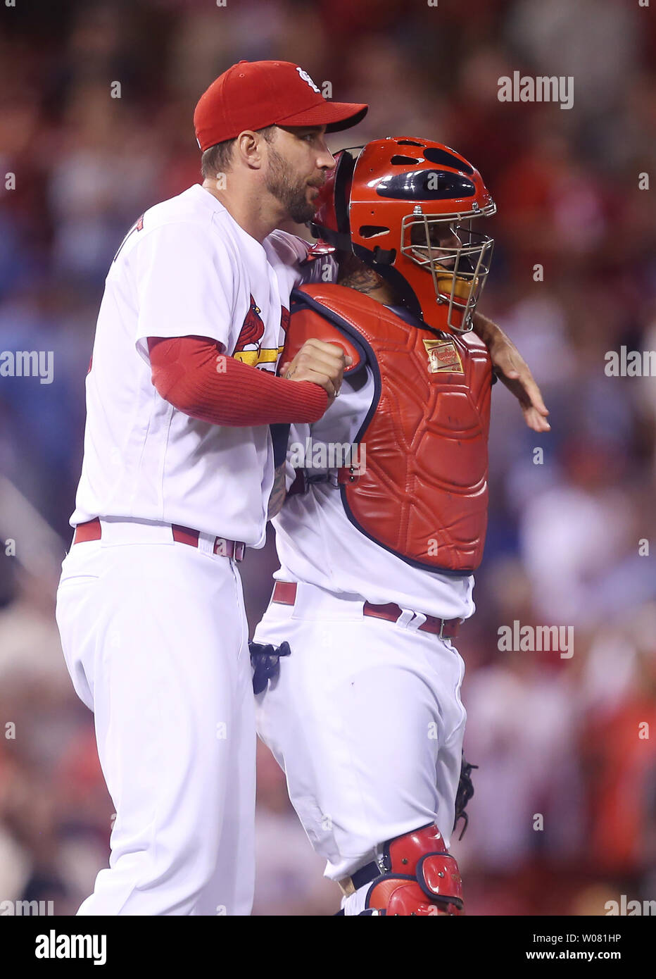 Adam wainwright hi-res stock photography and images - Alamy