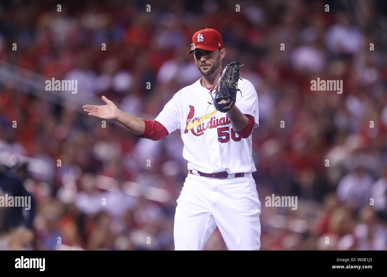 Adam wainwright hi-res stock photography and images - Alamy