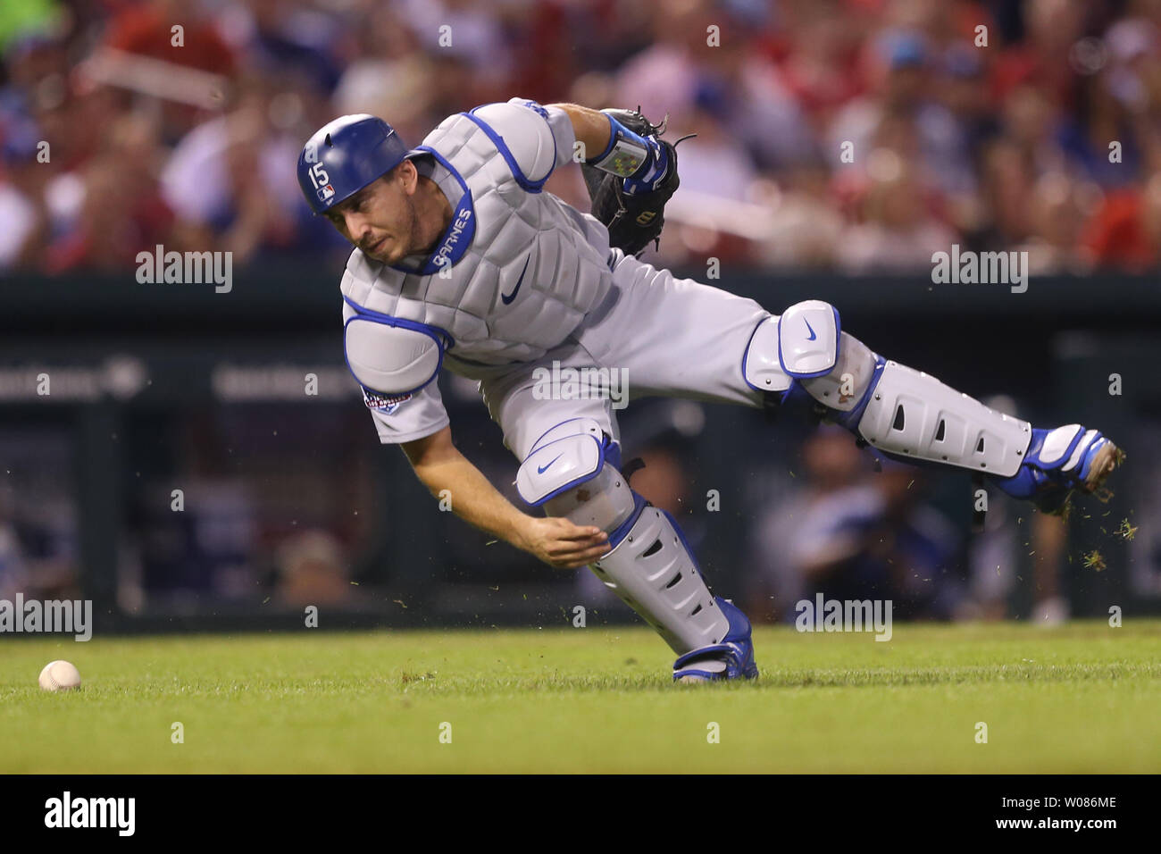Los Angeles Dodgers Catcher Austin Barnes Over Runs A Bunted