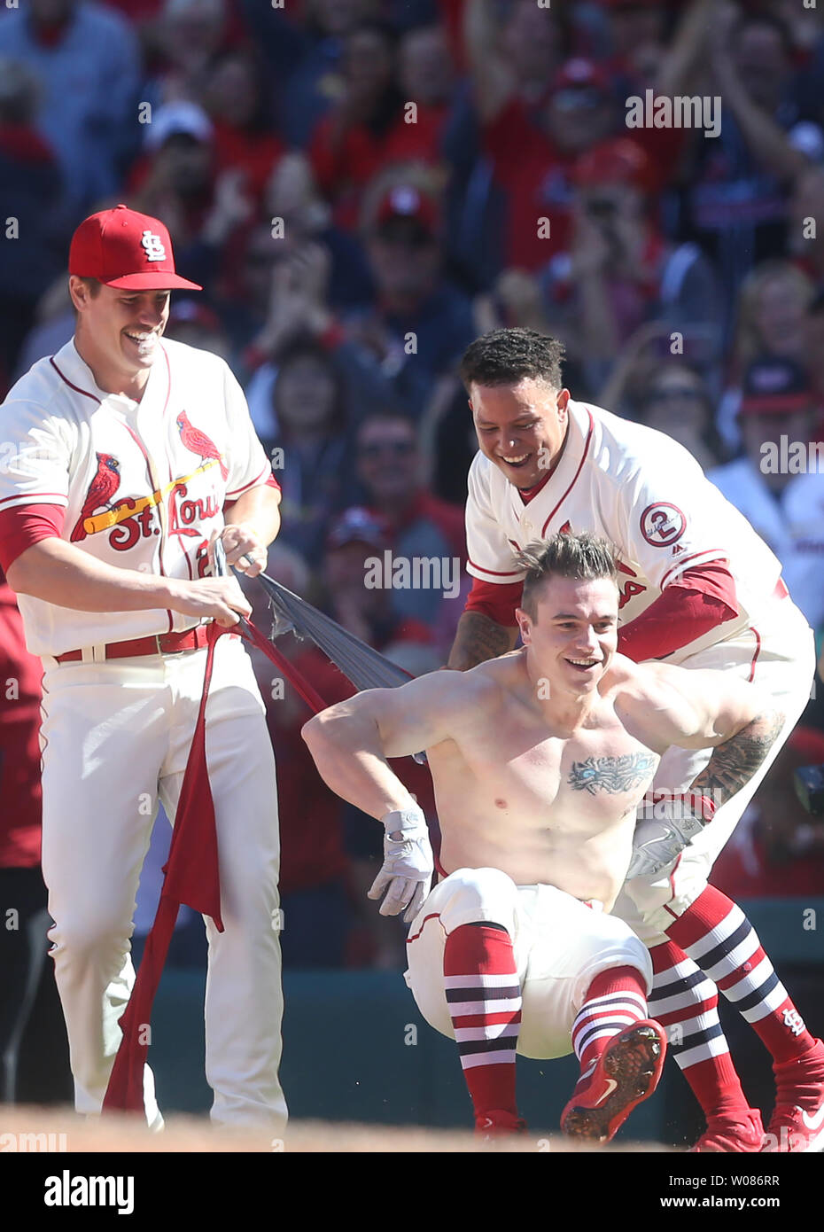 St. Louis Cardinals Patrick Wisdom (L) and Yairo Munoz rip the shirts from  the back of Tyler O'Neill after O'Neill hit a walk off home run against the  San Francisco Giants in