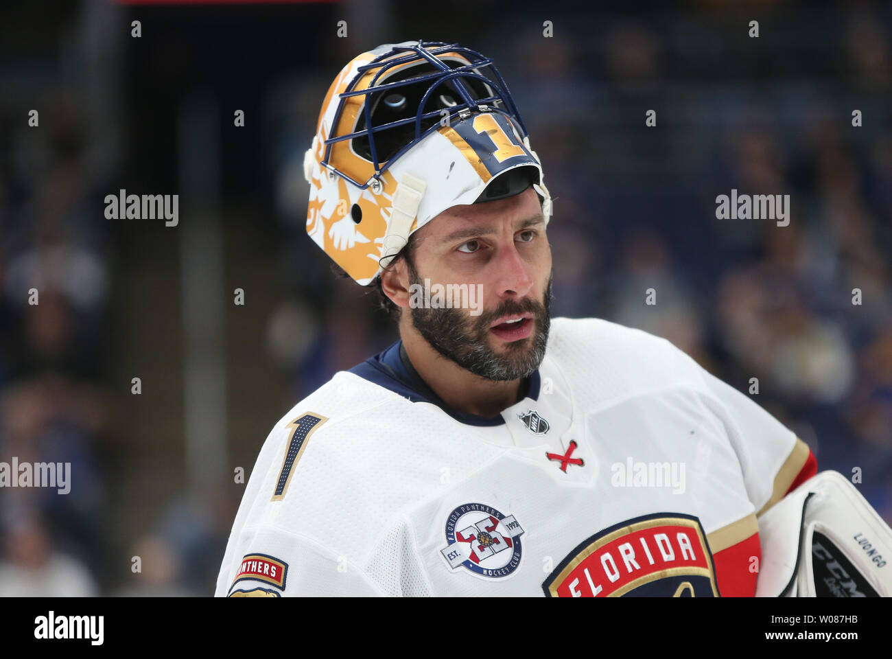 472 Roberto Luongo Headshot Stock Photos, High-Res Pictures, and Images -  Getty Images