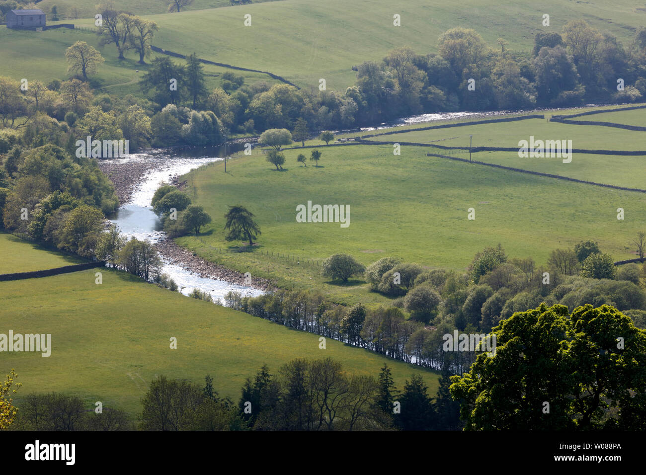River Tees above Newbiggin, Upper Teesdale, County Durham, England, UK Stock Photo