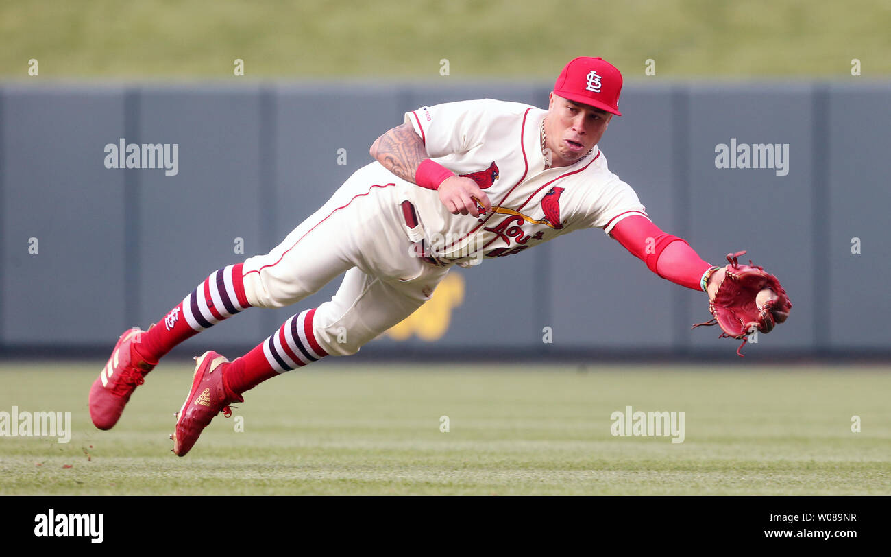St. Louis Cardinals second baseman Kolten Wong makes a diving catch on a  ball for an out off the bat of Atlanta Braves Freddie Freeman in the first  inning at Busch Stadium
