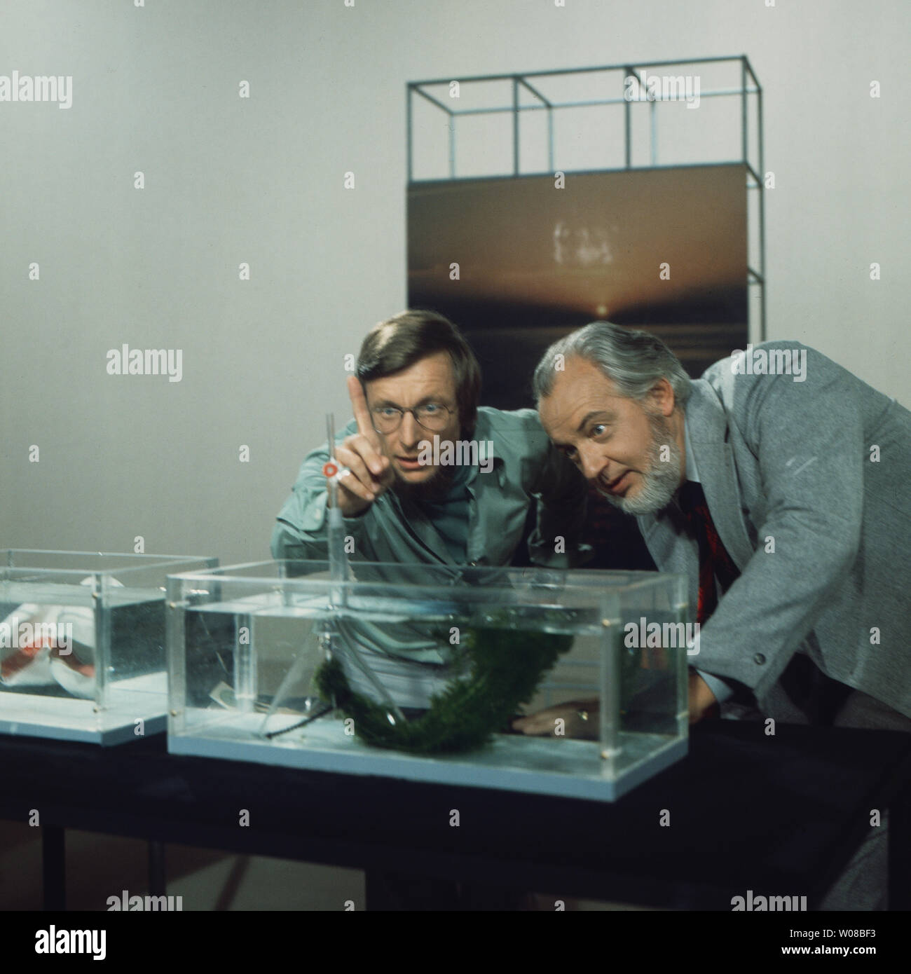 Schach dem Elektronengehirn, Informative Unterhaltungssendung, Deutschland  1979, Moderator Volker Arzt mit dem britischen Schachgroßmeister Daniel  Levy im Studio Stock Photo - Alamy