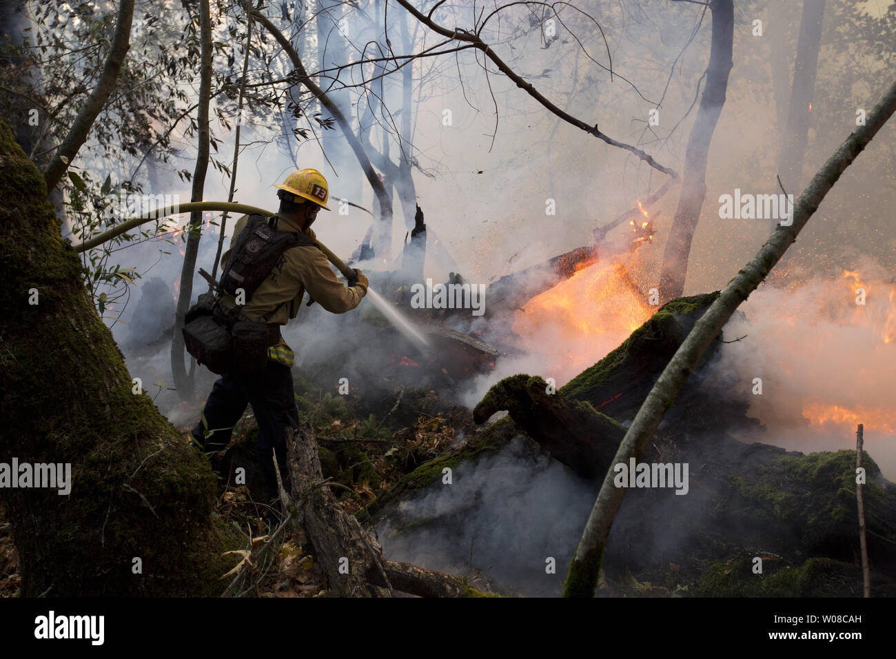 Firefighters Battle The Nuns Fire Along Highway 12 In Santa - 