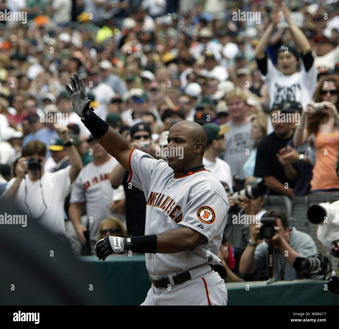 San Francisco Giants Barry Bonds makes a curtain call after hitting home run number 714 off Oakland A's pitcher Brad Halsey in the second inning at McAfee Coliseum in Oakland, California on May 20, 2006.  Bonds tied Babe Ruth's lifetime total.  (UPI Photo/Bruce Gordon) Stock Photo
