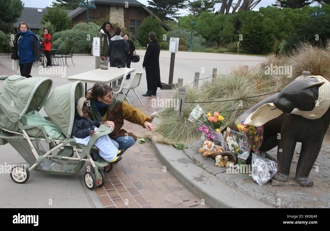 A bronze statue of a large cat has a memorial to the tiger