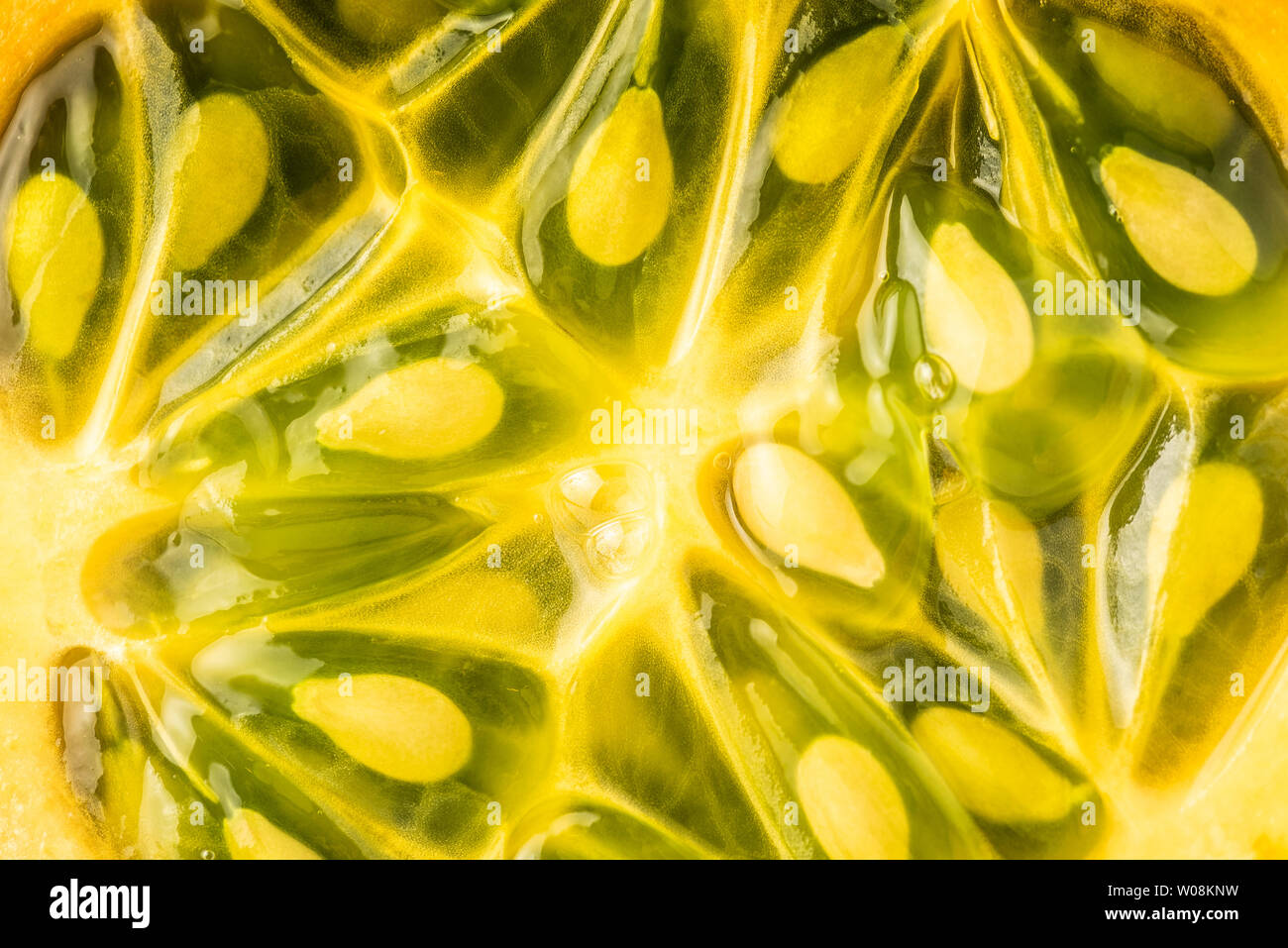 Kiwano or Horned Melon (Cucumis metuliferus) sliced in a half on white
