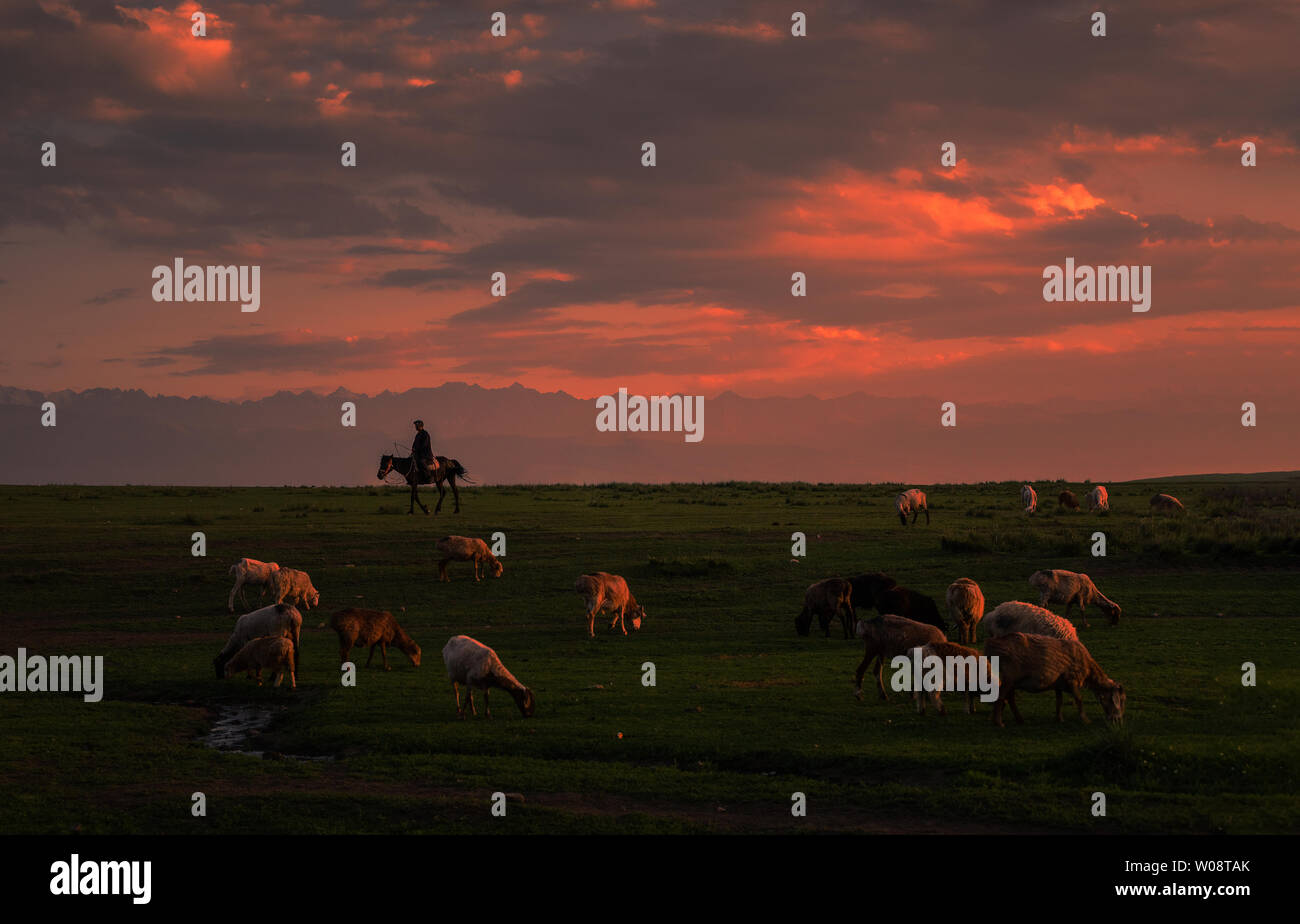 Prairie in Xinjiang Stock Photo