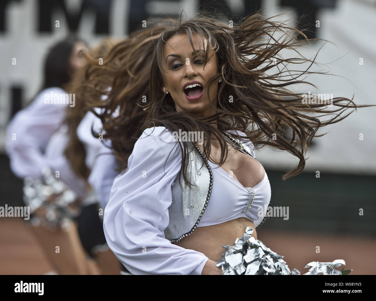 Raiderettes 2013 hires stock photography and images Alamy