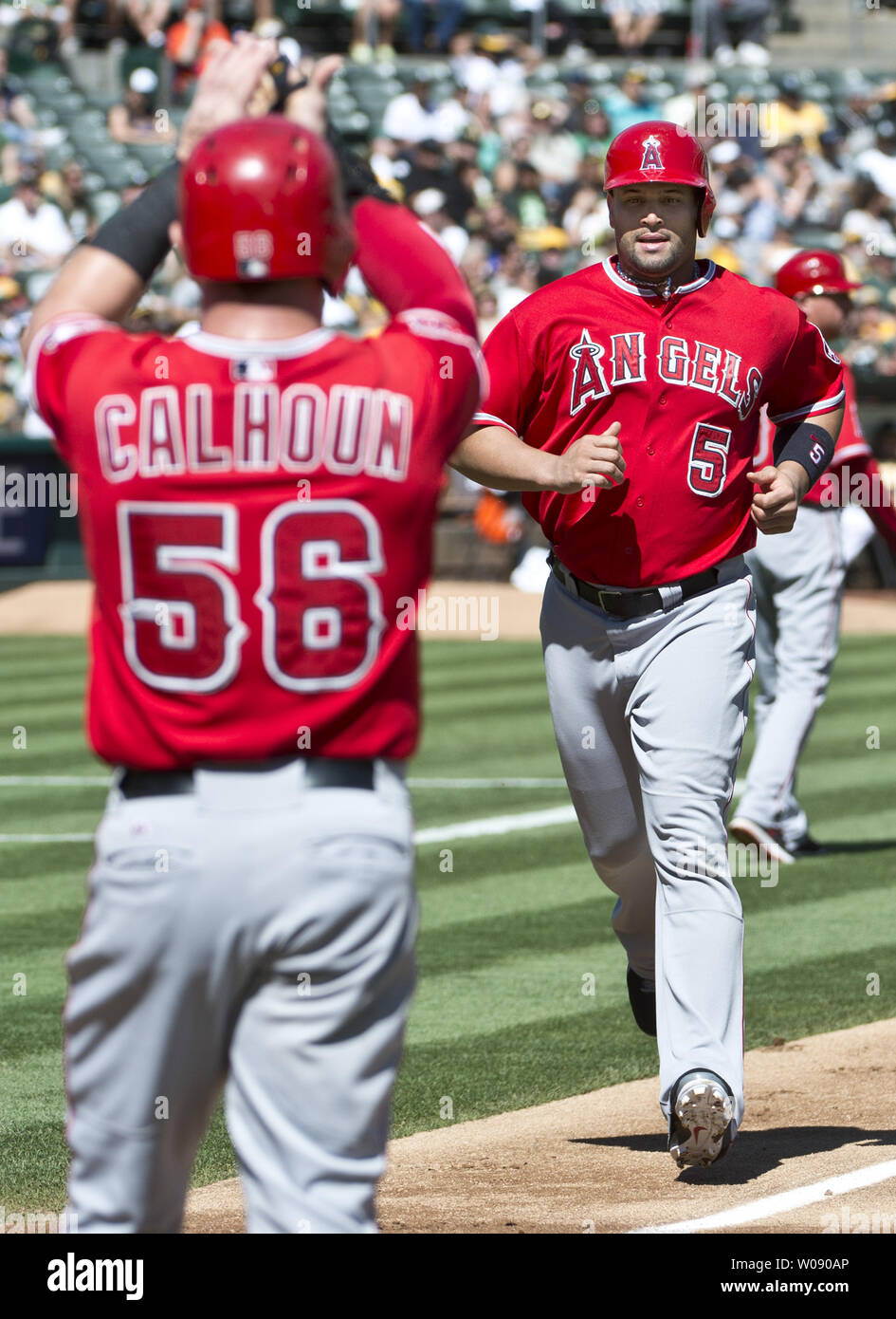 5,288 Kole Calhoun Angels Stock Photos, High-Res Pictures, and