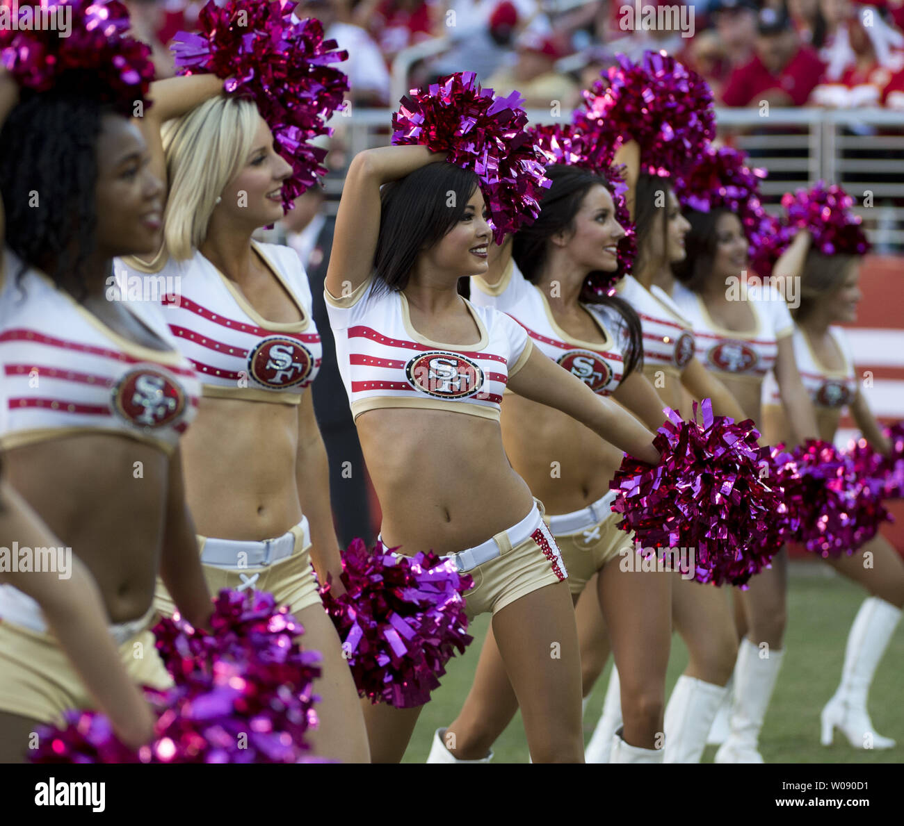 San Francisco 49ers 2014 Gold Rush Cheerleaders Wall Calendar