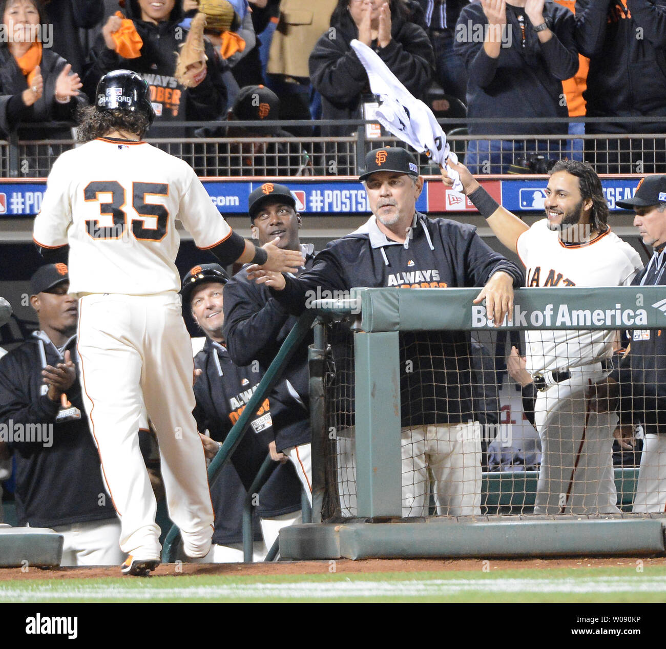 San Francisco Giants Brandon Crawford (35) is greeted by manager Bruce Bochey as Hunter Pence waves a towell at the dugout after he scored a run in the sixth inning against the St. Louis Cardinals in game 4 of the National League Championship Series at AT&T Park in San Francisco on October 15, 2014. The Giants defeated the Cardinals 6-4 and lead the best of 7 series 3-1.    UPI/Terry Schmitt Stock Photo
