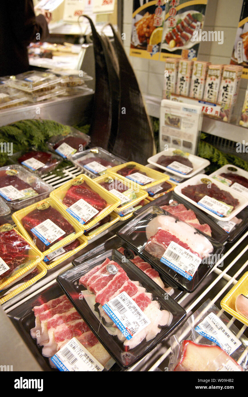 Major Supermarkets In Tokyo