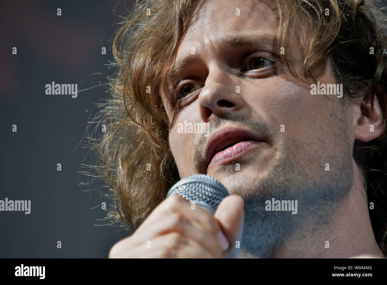 Actor Matthew Gray Gubler attends the meet and greet for the TV drama