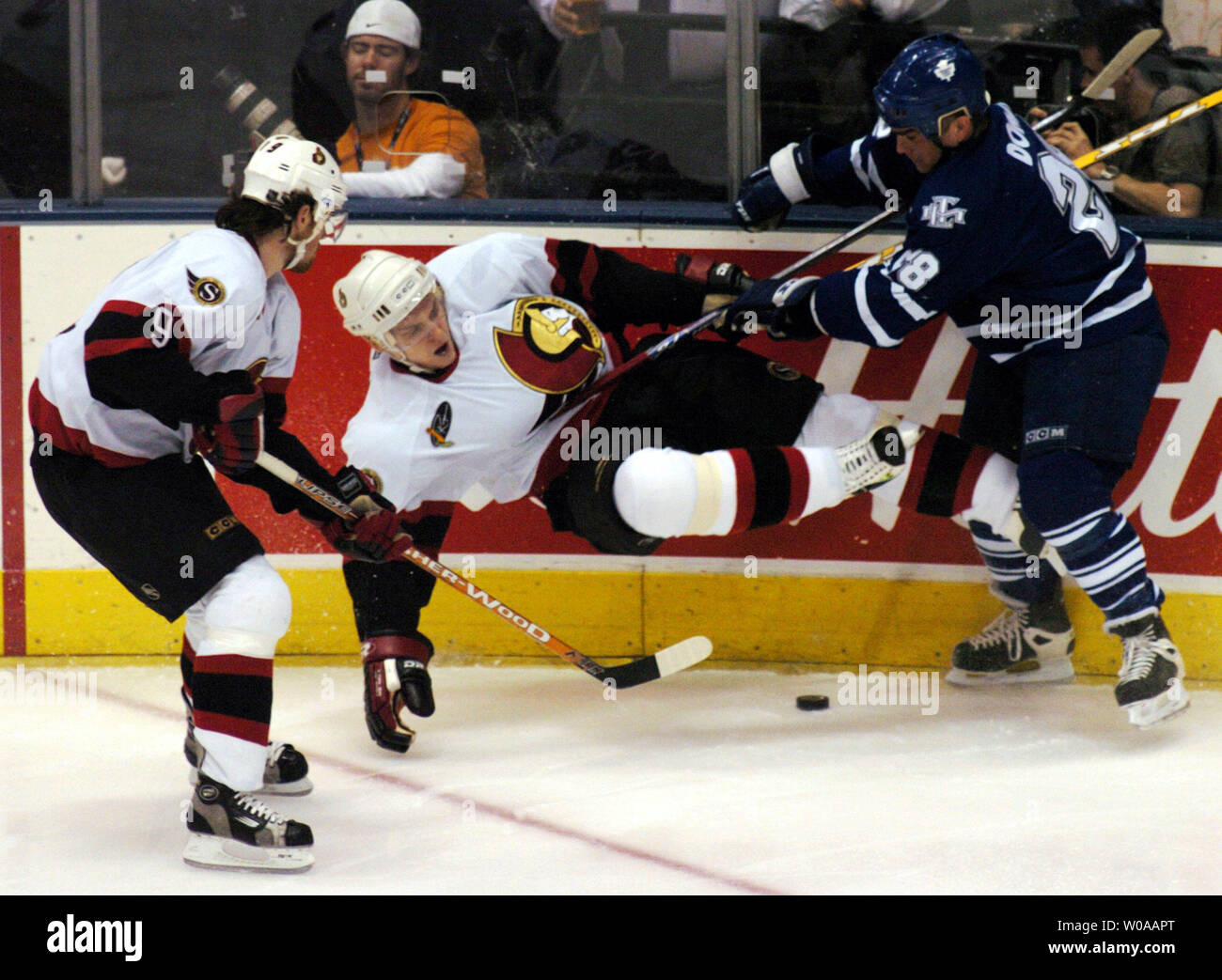 1,138 Toronto Maple Leaf Tie Domi Photos & High Res Pictures