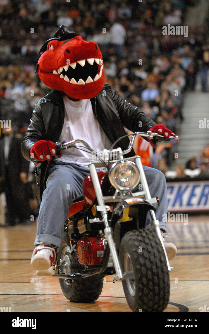 The Raptor mascot rides out onto the hardwood on a moped during a time-out in the second quarter as the Toronto Raptors host the Charlotte Bobcats at the Air Canada Center in Toronto, Canada on January 22, 2007.The Raptors went on to beat the Bobcats 105-84. (UPI Photo/Christine Chew) Stock Photo