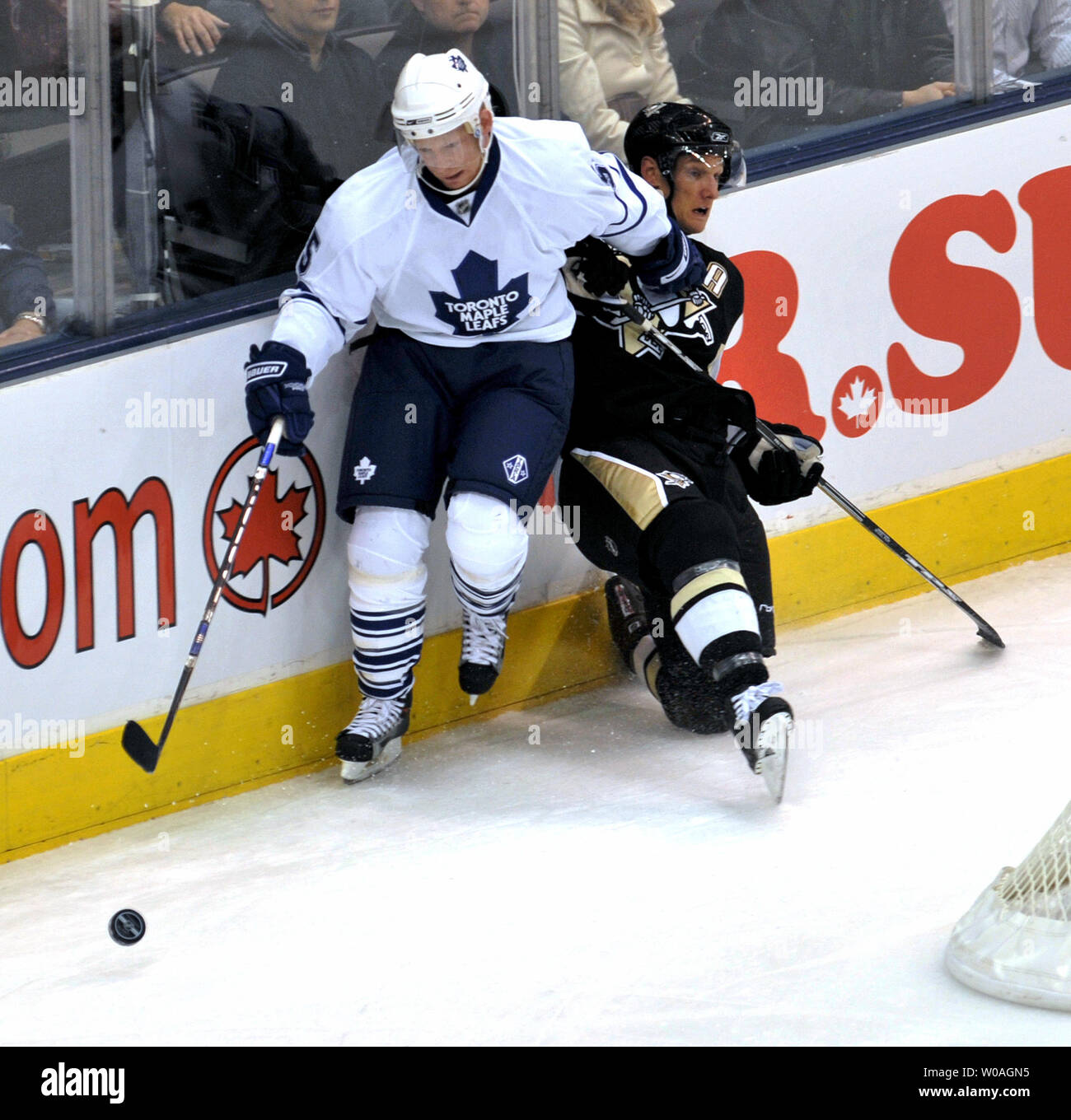 Canadian maple leafs hi-res stock photography and images - Alamy