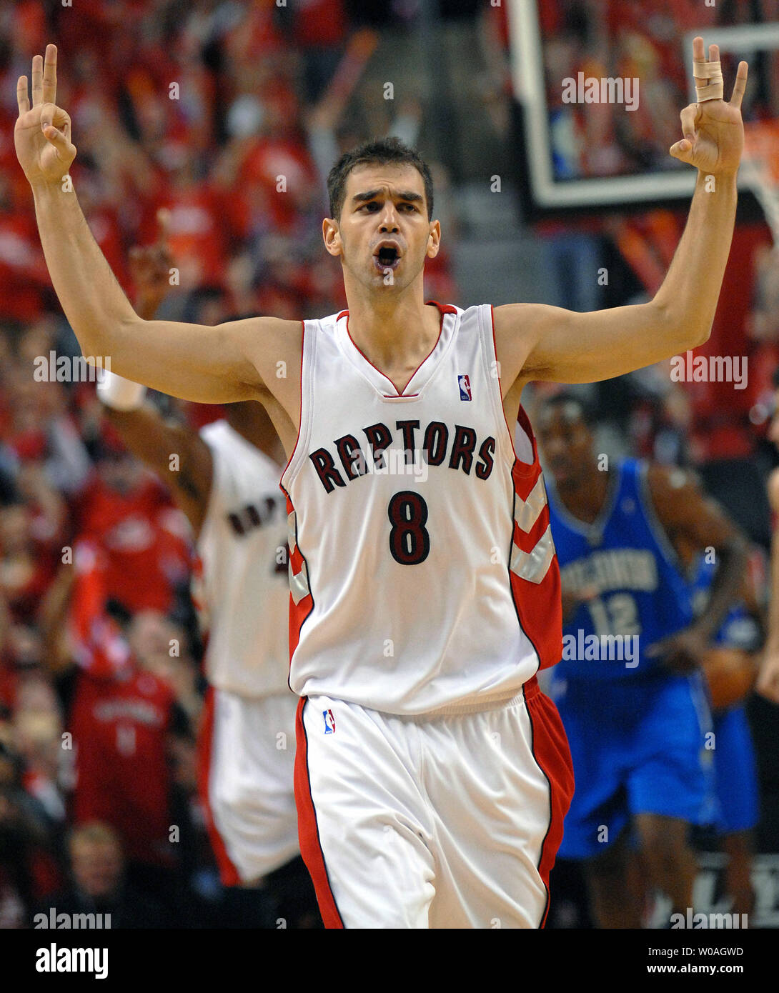 jose calderon raptors jersey