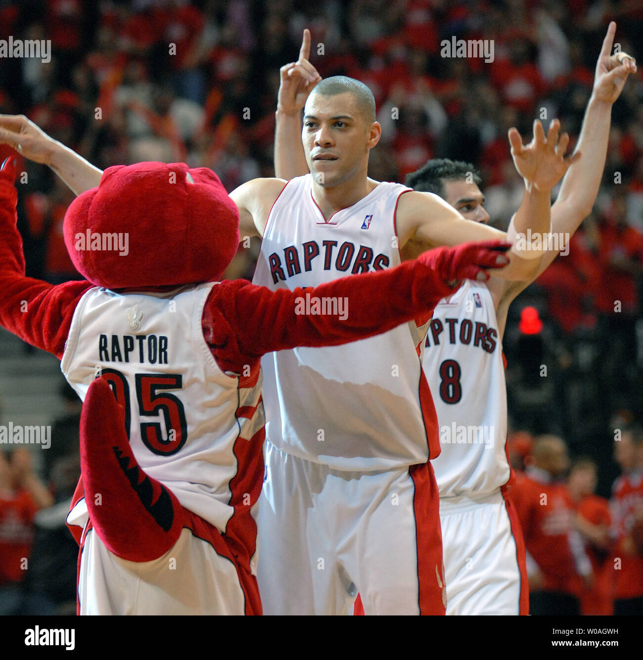 Toronto Raptors' Anthony Parker (R) celebrates with the team mascot after Toronto defeated the Orlando Magic 108-94 in Game 3 of their playoff series at the Air Canada Center in Toronto, Canada on April 24, 2008. (UPI Photo/Christine Chew) Stock Photo