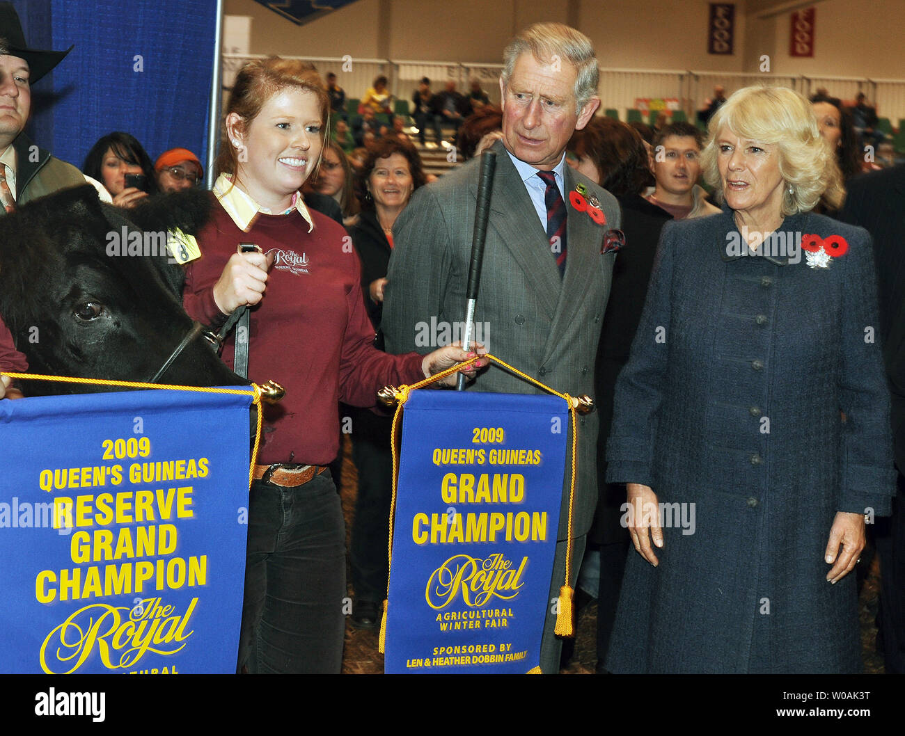 britains-prince-charles-and-his-wife-camilla-r-duchess-of-cornwall-present-the-championship-ribbon-to-the-supreme-champion-steer-of-the-queens-guineas-beef-cattle-competition-at-the-royal-agricultural-winter-fair-in-toronto-canada-on-november-6-2009-upi-christine-chew-W0AK3T.jpg