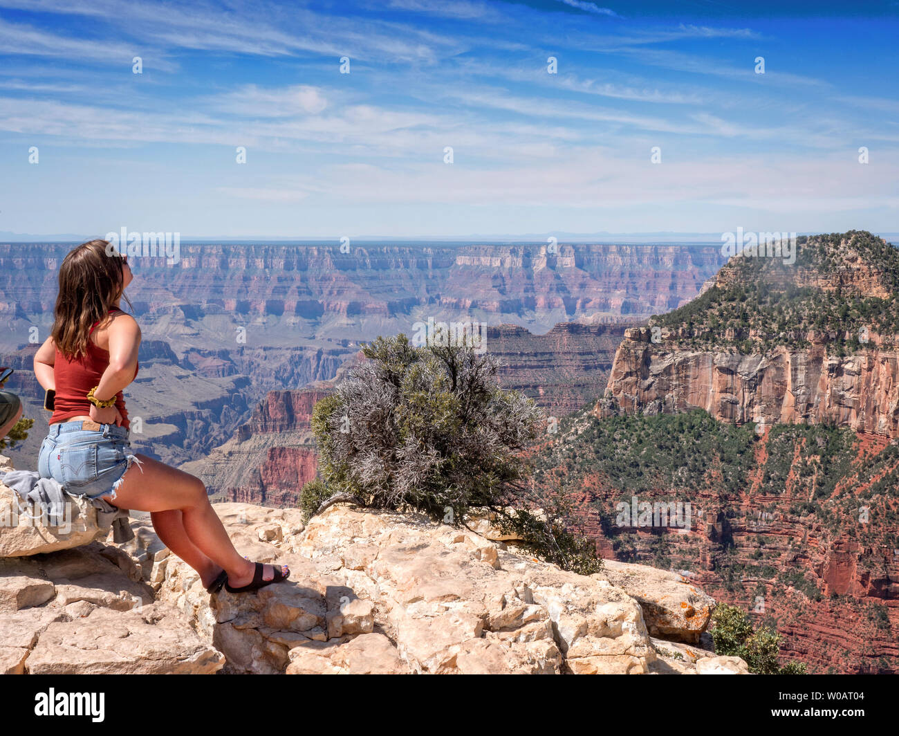 Tourist enjoying the view of the from the North Rim of the Grand Canyon Arizona USA Stock Photo