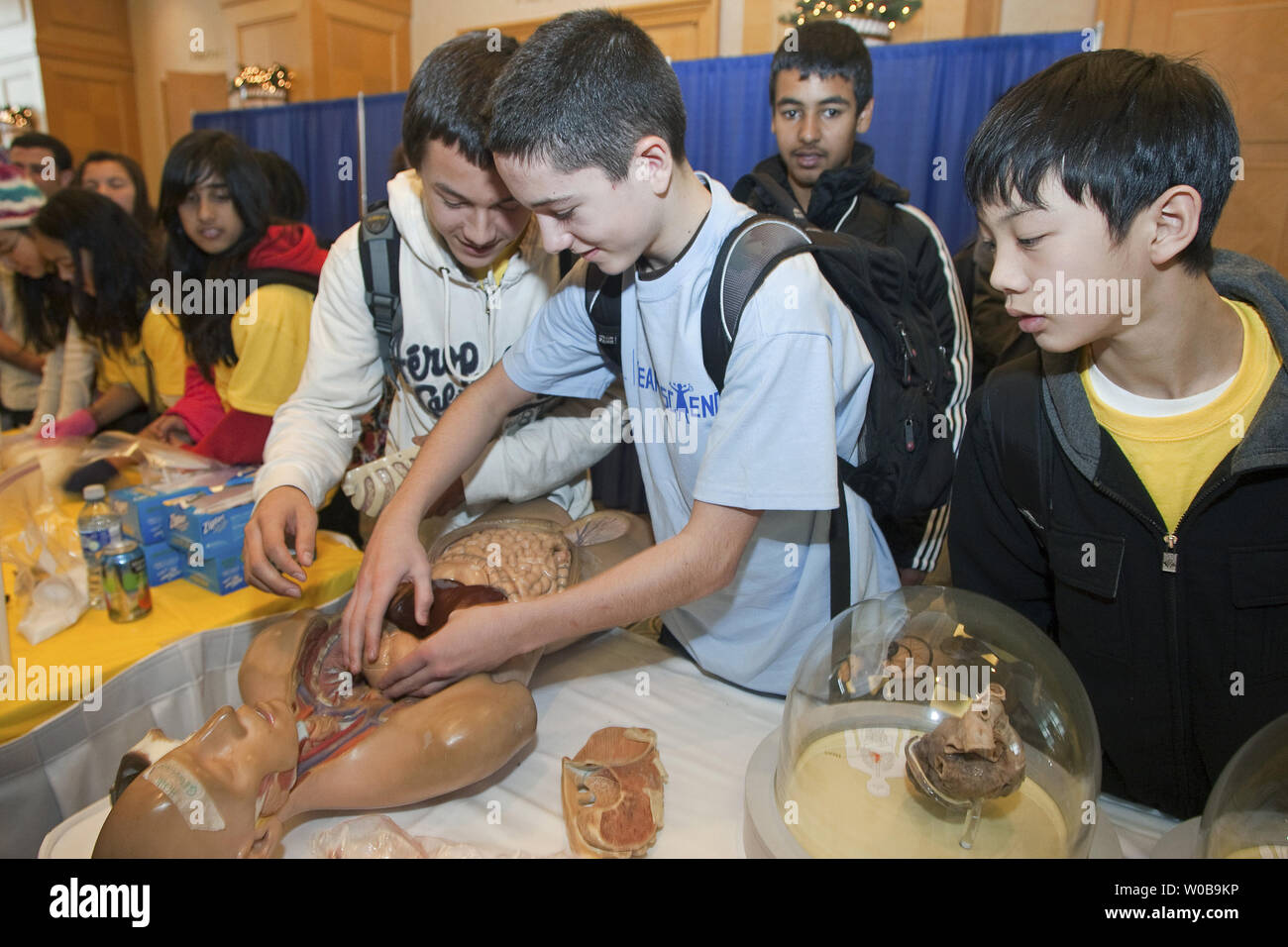 High school students test their knowledge of organ placement in the chest cavity of a medical dummy during the official opening of the two day Year of Science, Science and Health Expo at the Fairmont Waterfront Hotel in downtown Vancouver, BC, on November 25, 2010. The Expo hopes to inspire high school students to choose careers in health sciences and bio technology.   UPI/Heinz Ruckemann Stock Photo