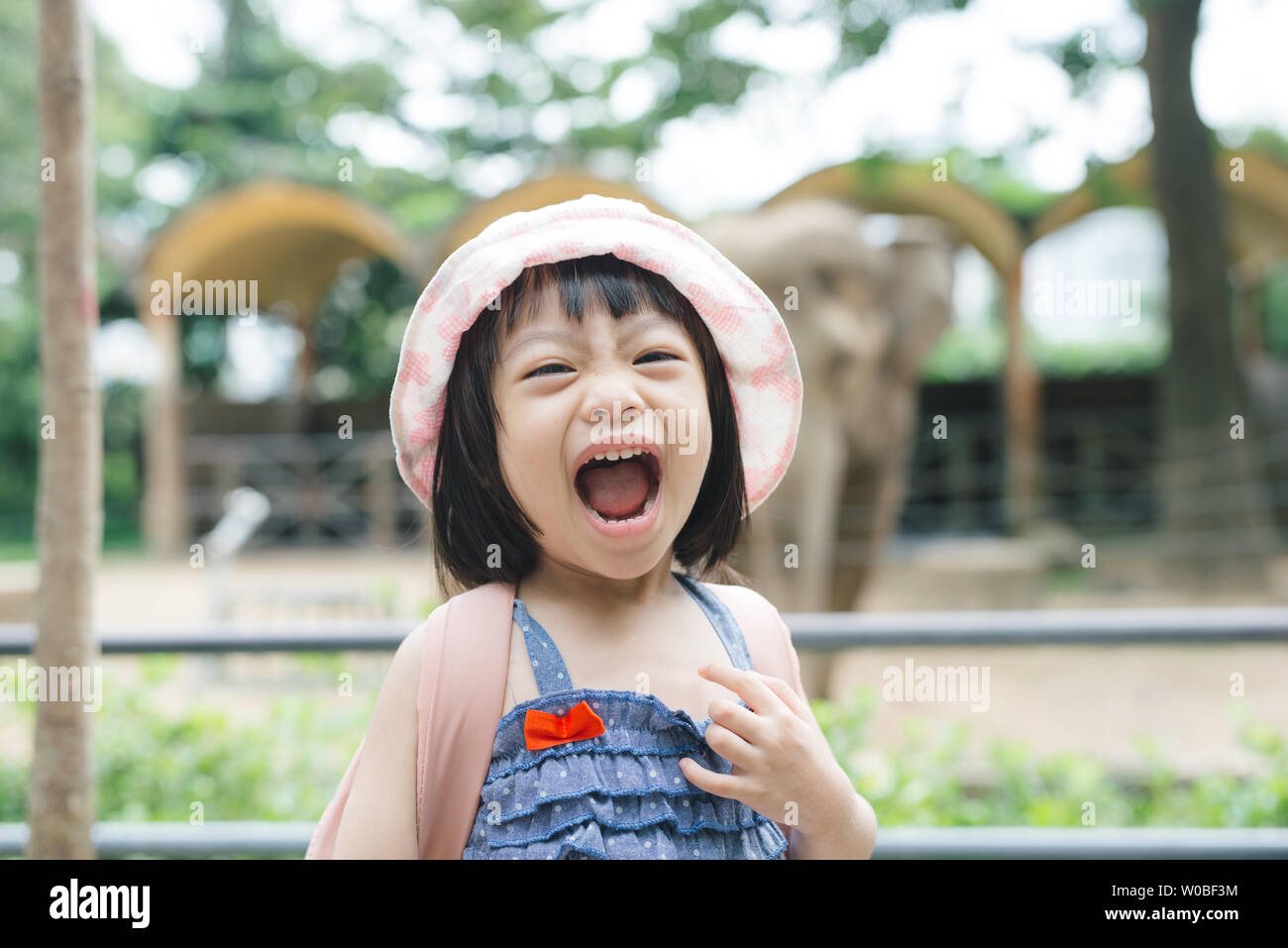 Cute little girl watching animals at the zoo on warm and sunny summer day. Children watching zoo animals through the window. Family time at zoo. Stock Photo