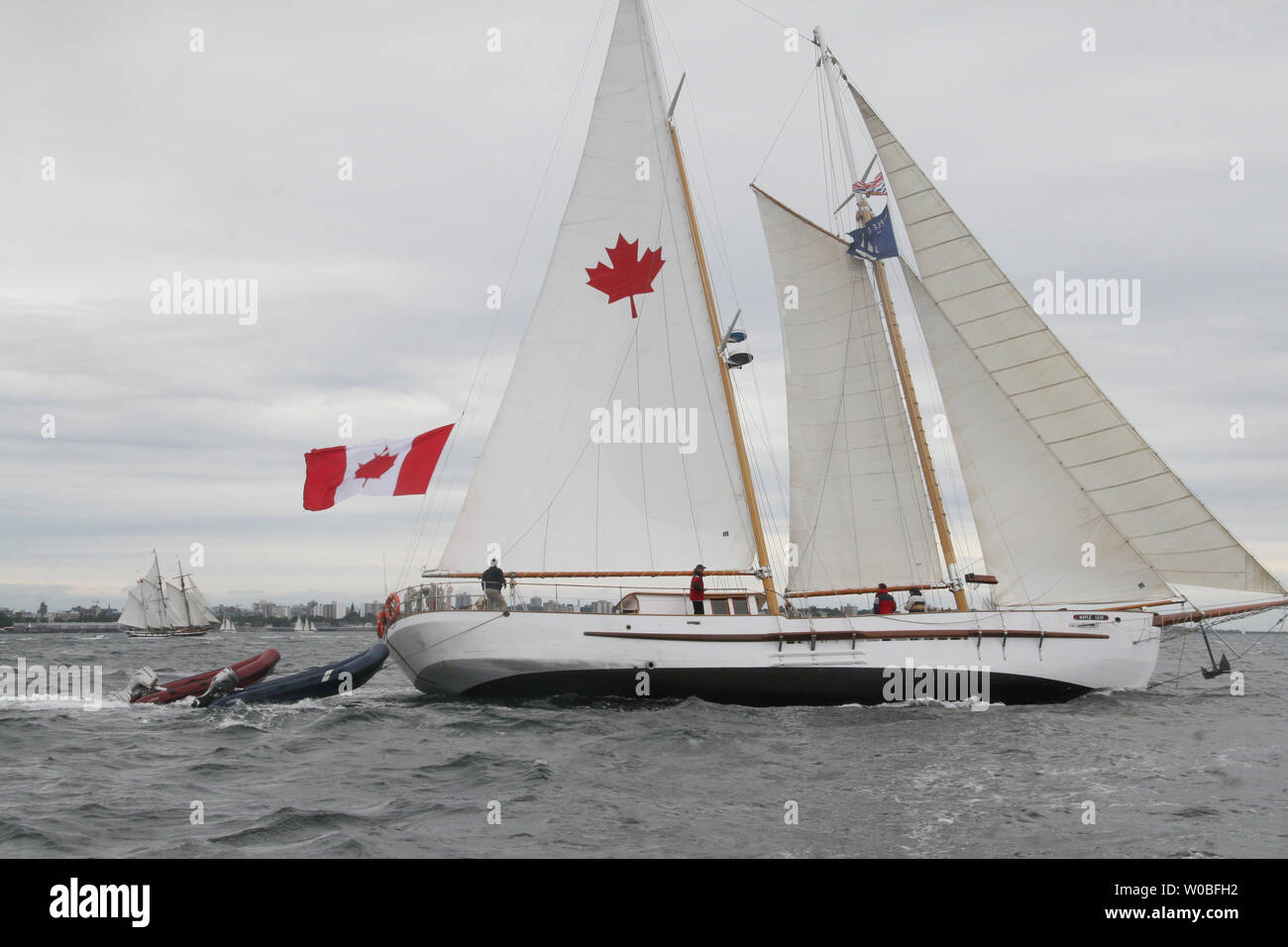 The 92foot local schooner Maple Leaf circles waiting it's turn to sail