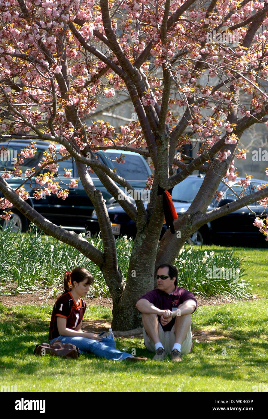A couple sits under a tree on the first day of classes since, Cho Seung-Hui, a student at Virginia Tech, went on a shooting spree and killed 32, on the campus of Virginia Tech in Blacksburg, Virginia on April 23, 2007. (UPI Photo/Kevin Dietsch) Stock Photo