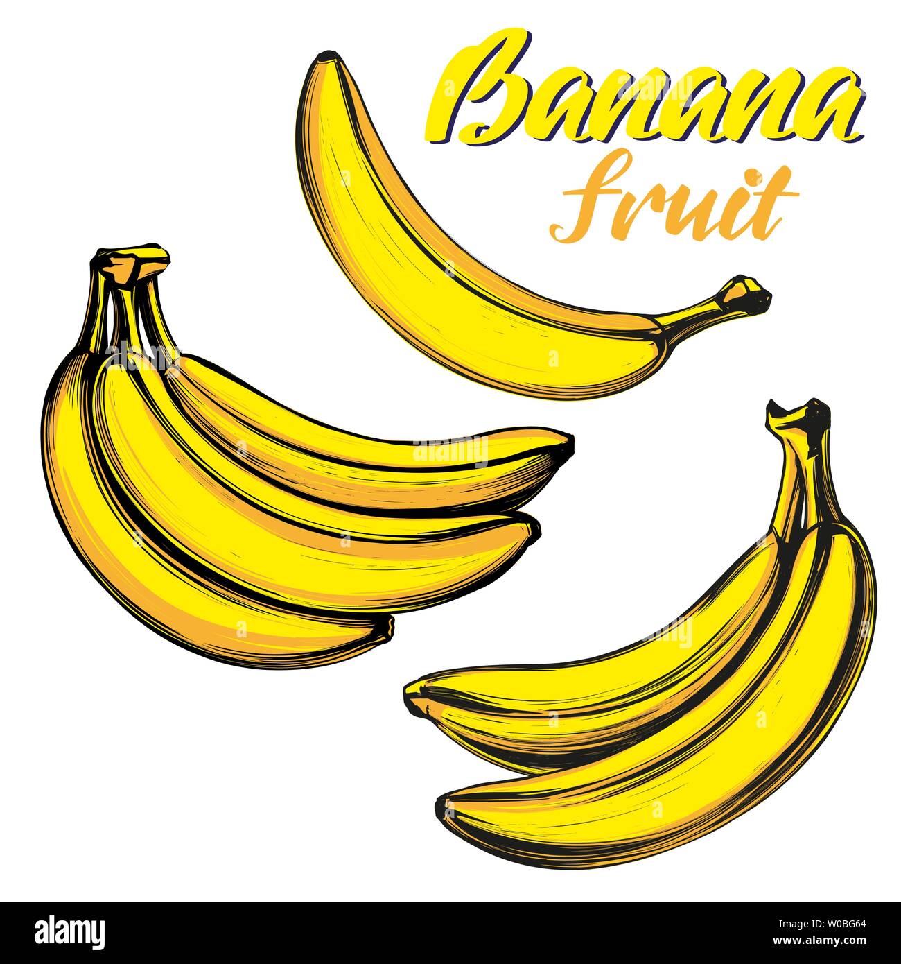 Bananas fruit set hand drawn vector illustration color sketch Stock Vector