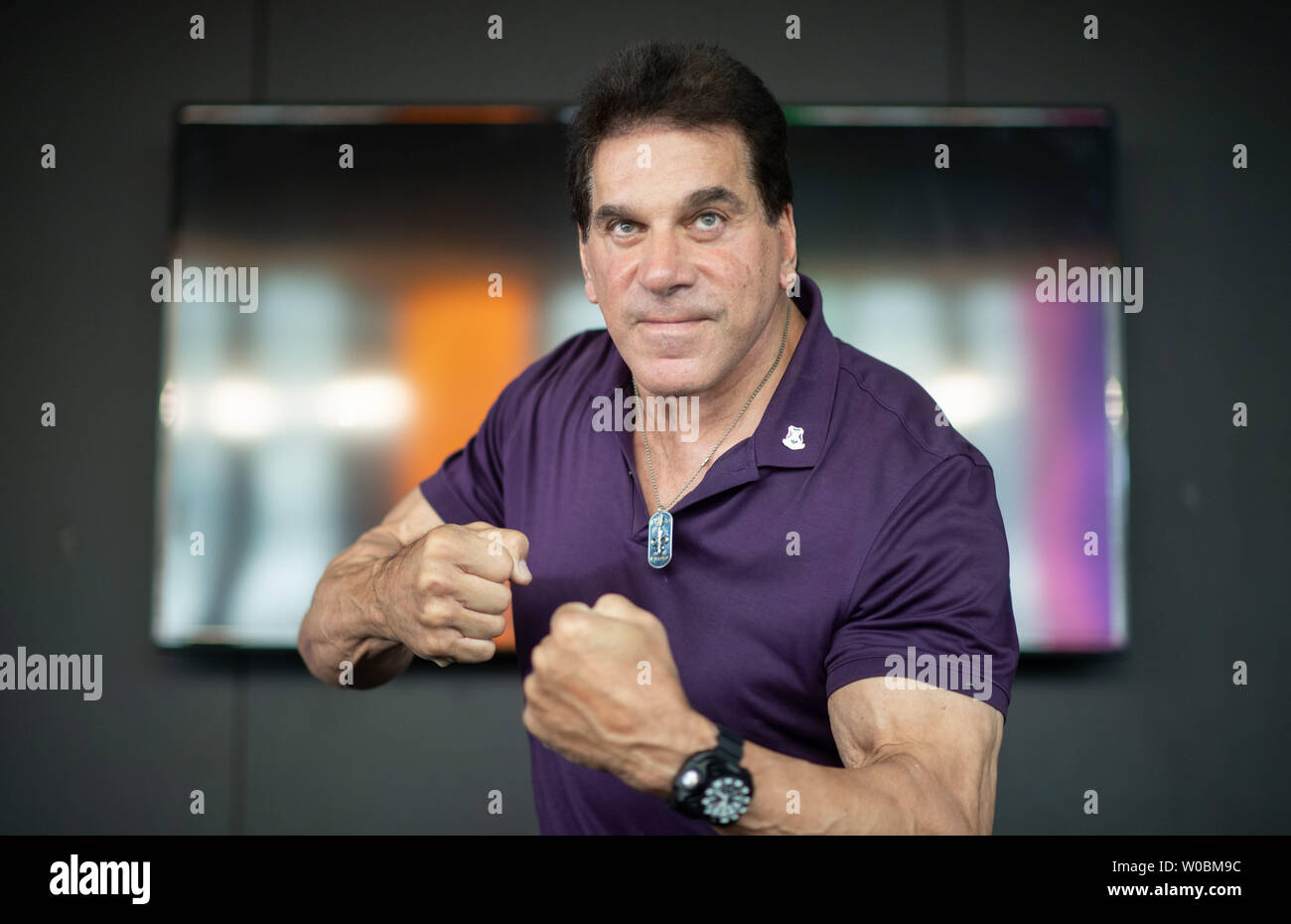 Lou ferrigno incredible hulk hi-res stock photography and images - Alamy