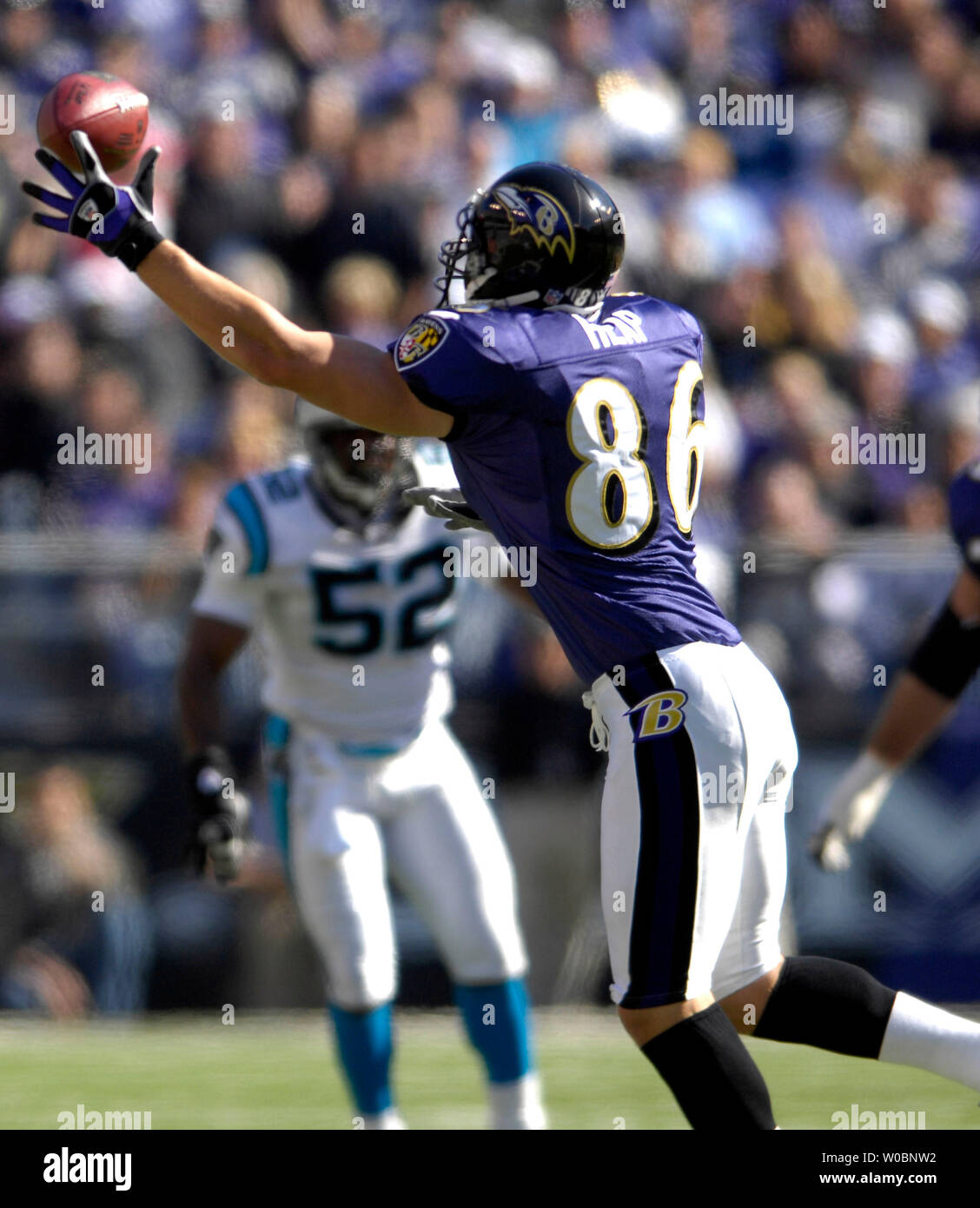 Baltimore Ravens tight end Todd Heap (86) catches a pass for a 37-yard gain  in the third quarter against New York Jets cornerback David Barrett (36) on  September 16, 2007 at M&T