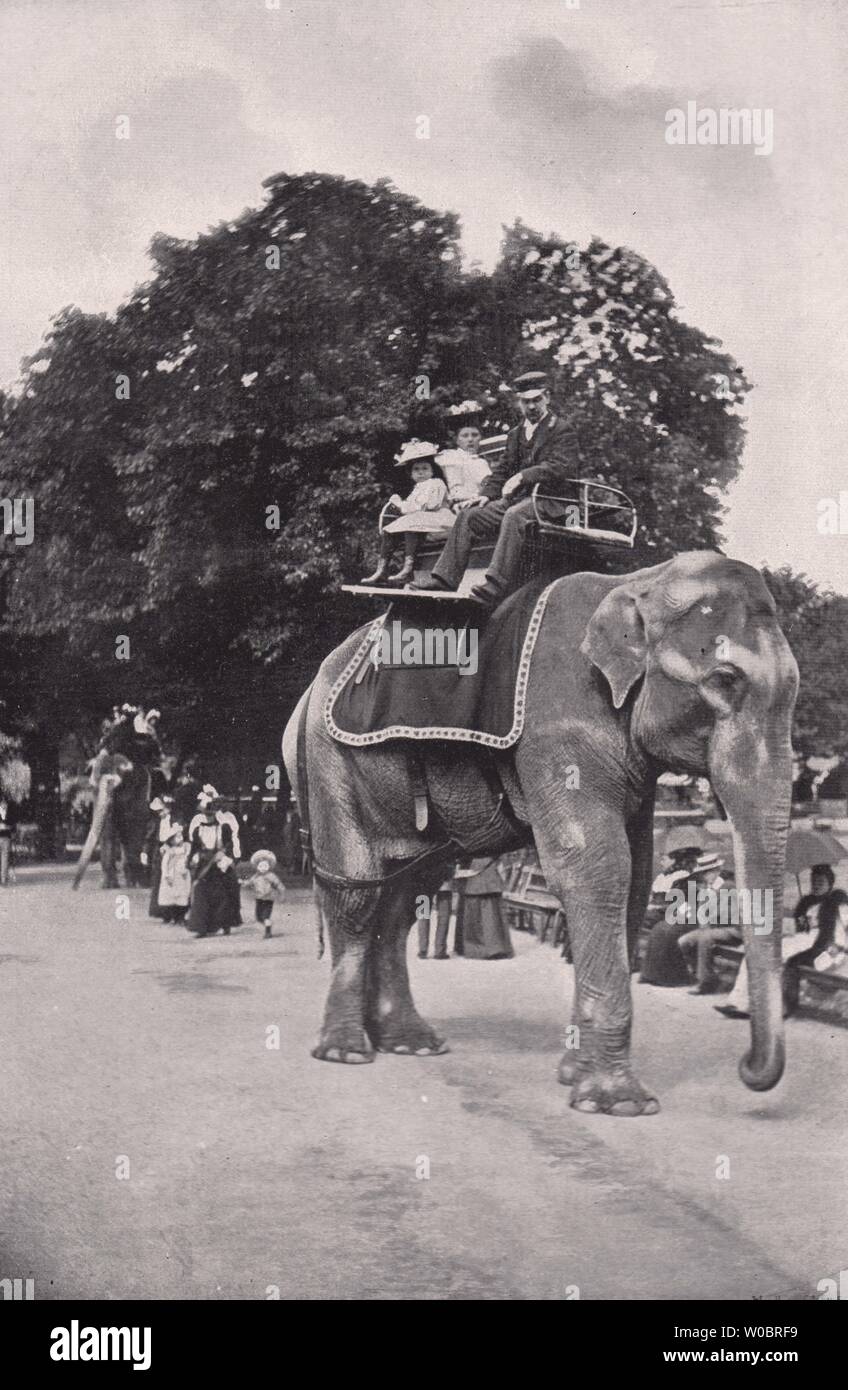 Zoological Gardens - Children Riding on the Elephants. London 1896 old print Stock Photo