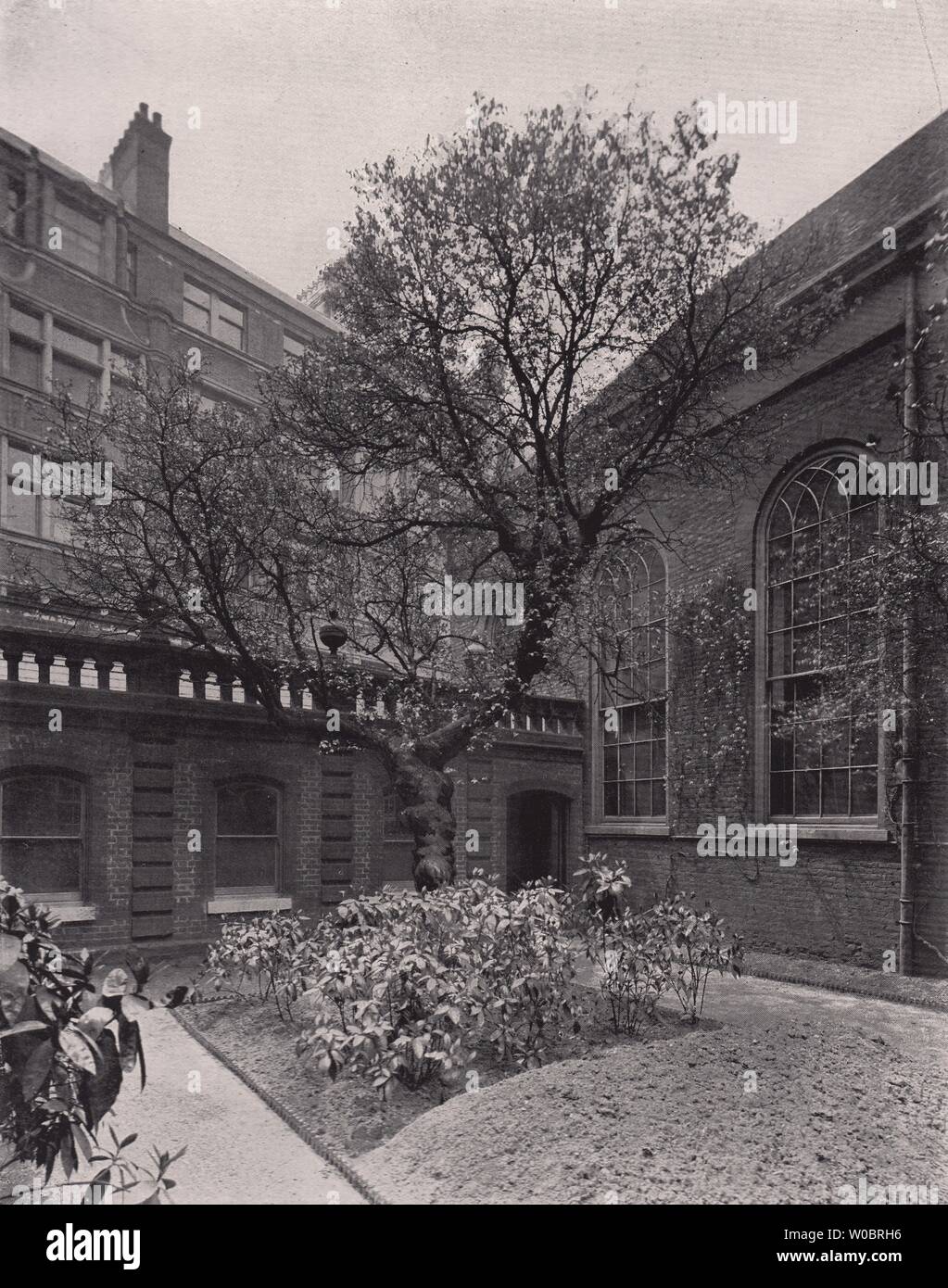 Girdlers' Hall, and the Mulberry tree that Escaped the Great Fire. London 1896 Stock Photo