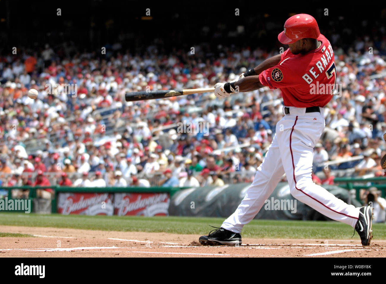 File:Washington Nationals outfielder Roger Bernadina (2).jpg - Wikimedia  Commons