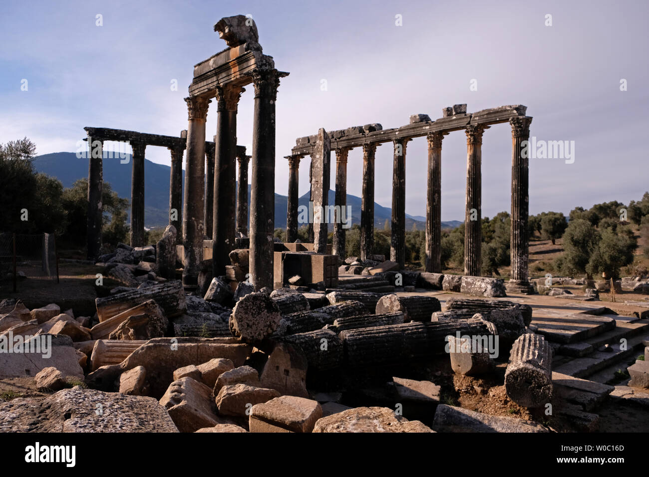 The ancient city of Euromos located in Mugla province in turkey is eyeing a spot in the UNESCO tentative list of World Heritage. Stock Photo
