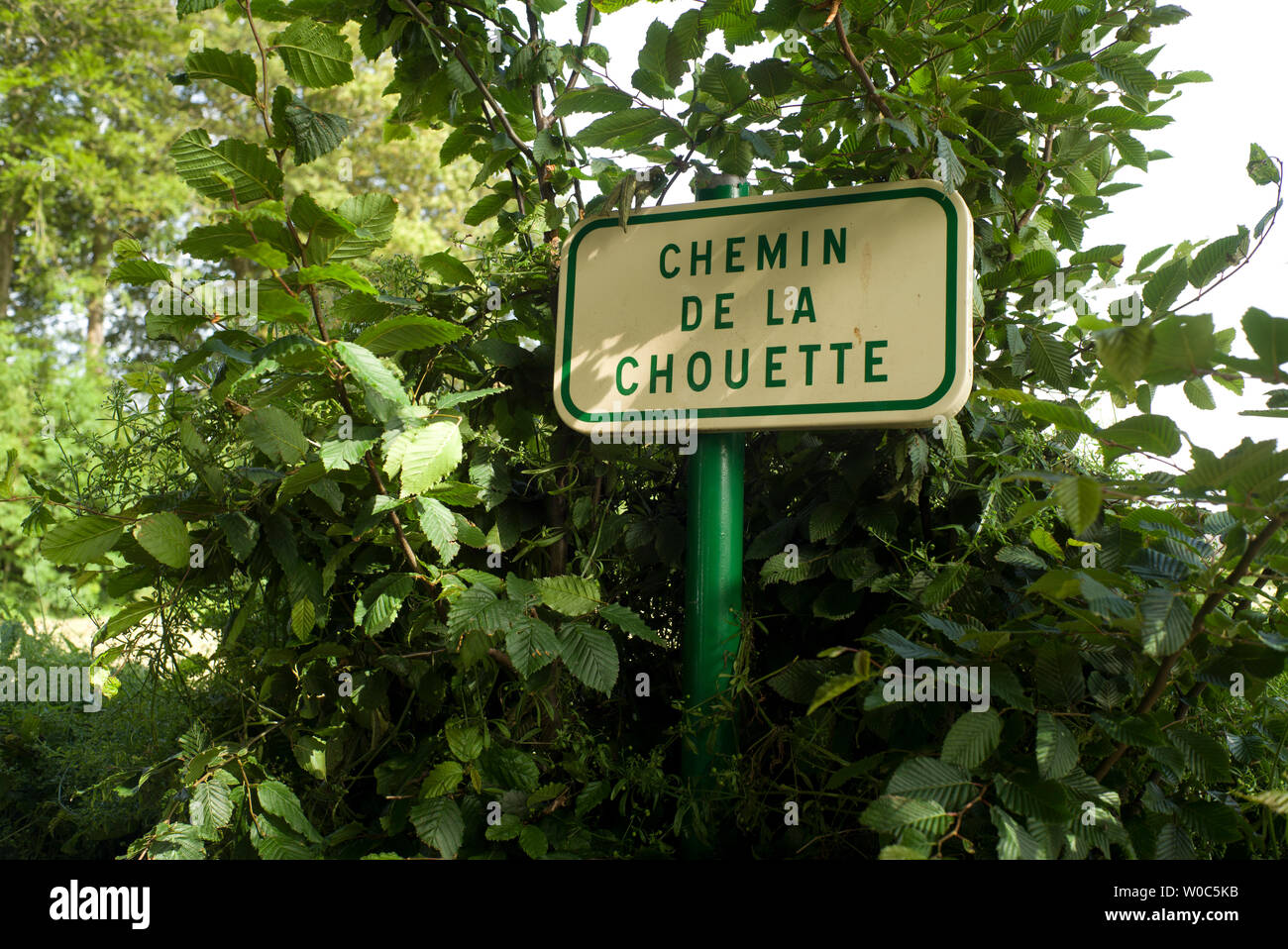 Street sign in hedge, small village, Normandy, France Stock Photo