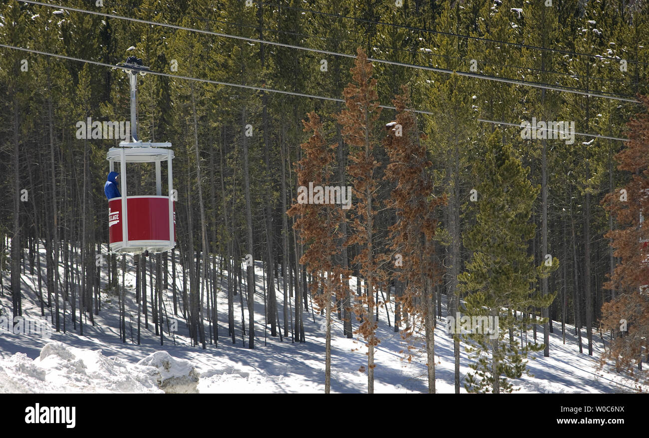 A skier rides a gondola past pine beetle infested pine trees in Winter Park, Colorado on April 7, 2009. Tourism has been affected by the discoloration caused by the pine beetle's attacks on the mountain pines. Forests from Canada to Mexico and the Pacific Northwest to the South have been affected beetle infestation that cause the death of various species of pine trees.    (UPI Photo/Gary C. Caskey) Stock Photo