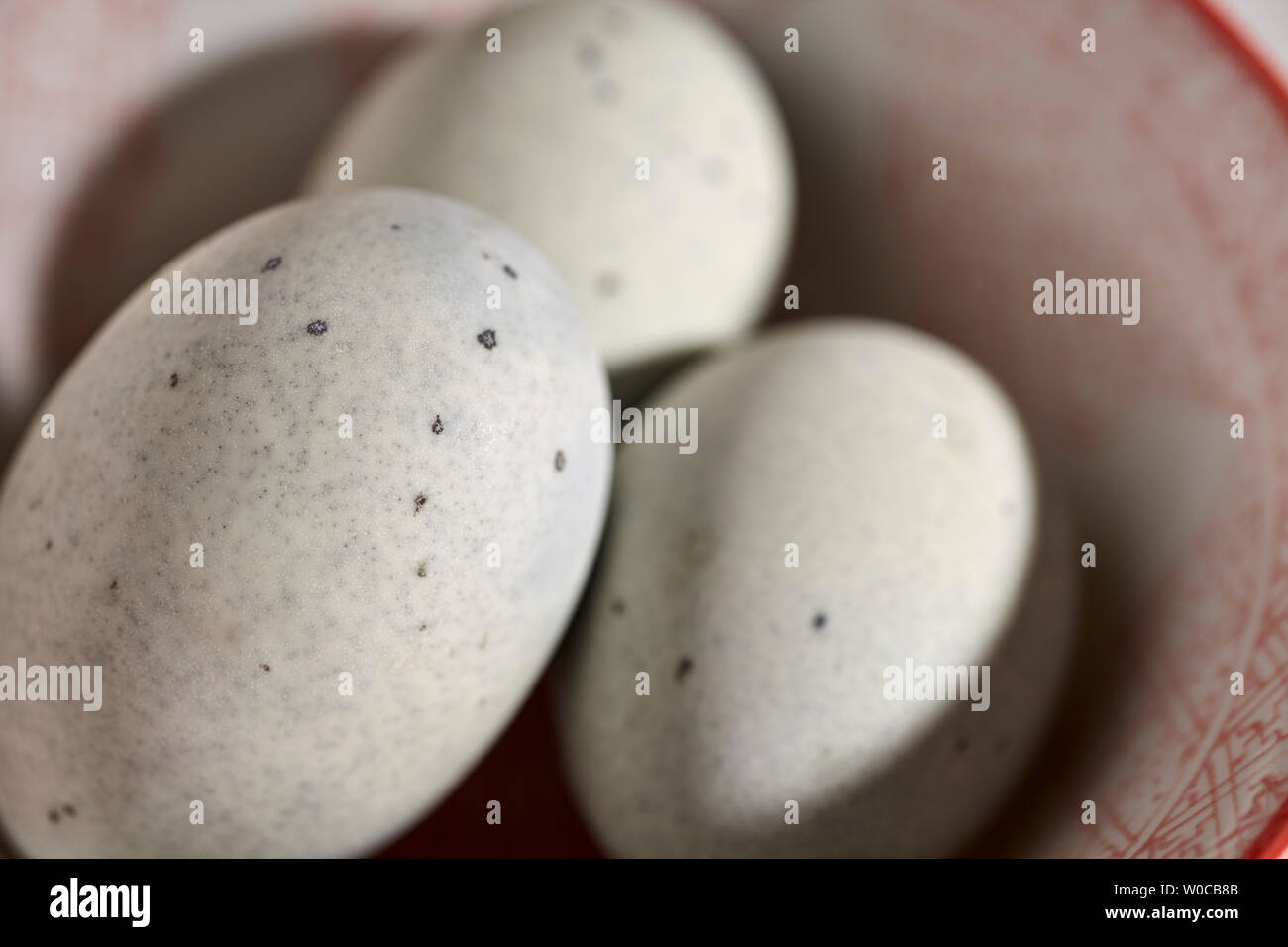 Two unpeeled preserved duck eggs, sometimes called century eggs, thousand year old eggs, or melinial eggs. Stock Photo