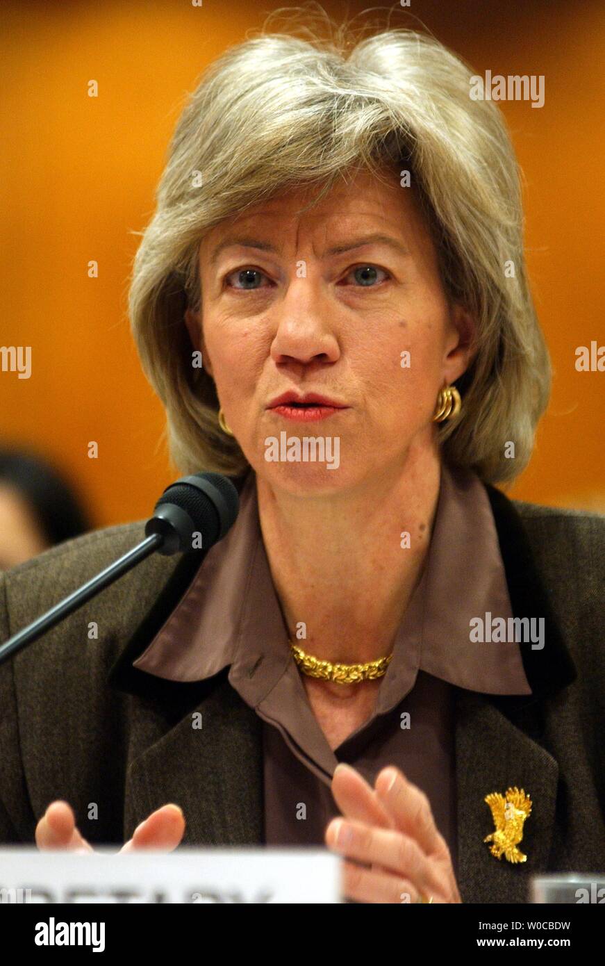 Gale norton hires stock photography and images Alamy