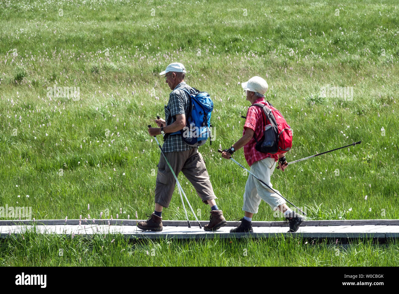 Seniors, nordic walking couple healthy lifestyle walking poles couple Stock Photo